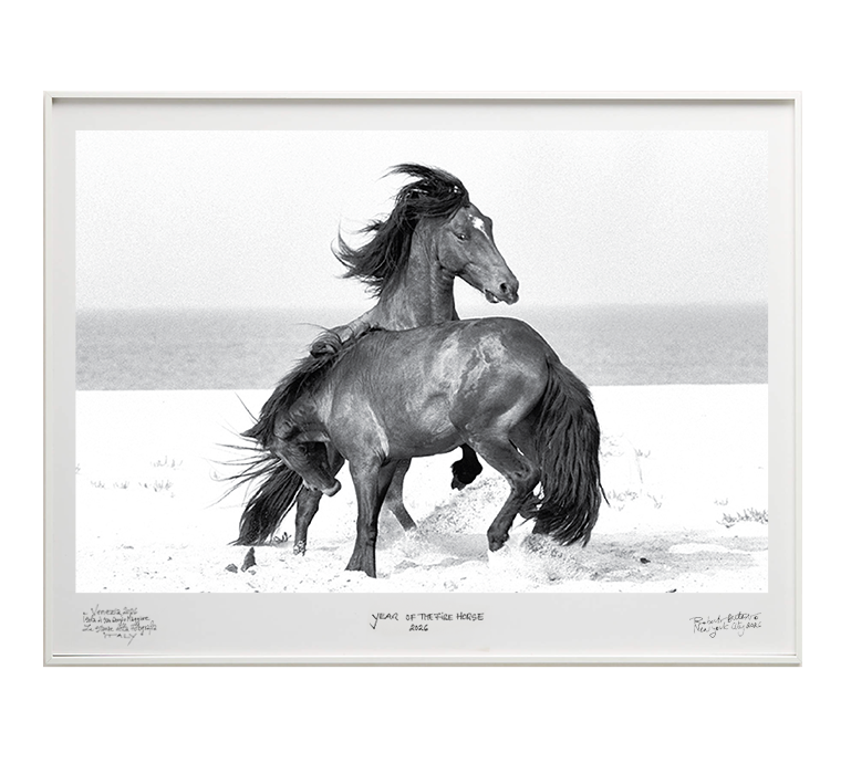 RobertoDutesco-venice-fury